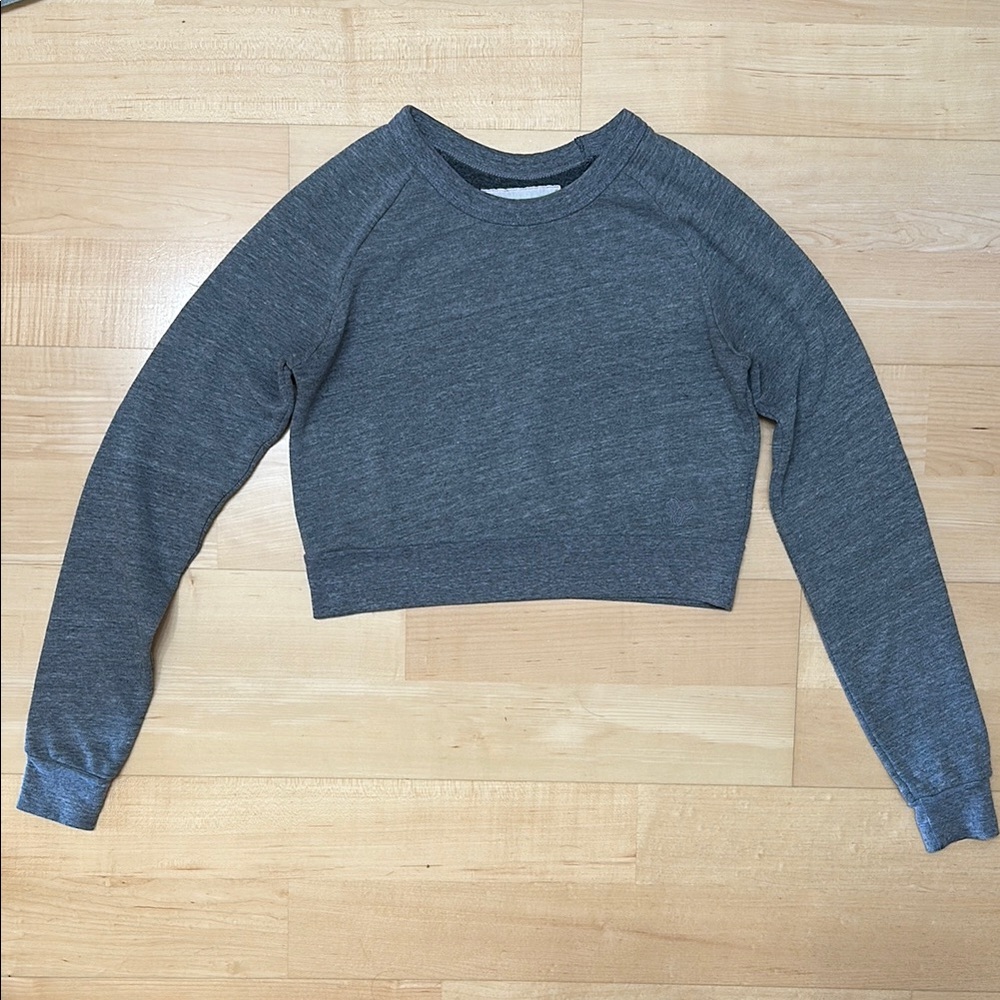 Aritzia Gray Fleece Cropped Long Sleeve | TNA